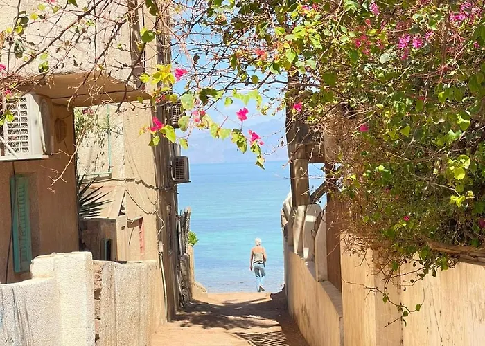 الأمير هاوس